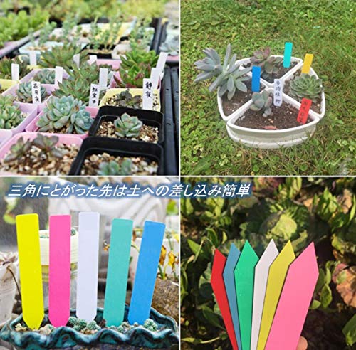 Amazon.co.jp: 園芸用 立型 ラベル 6色 大量600枚入り (赤 黄 青 緑 白